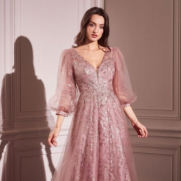 NEW FORMAL A-LINE TULLE GOWN W/ LONG BISHOP SLEEVES & GLITTER EMBROIDERY CD0102
